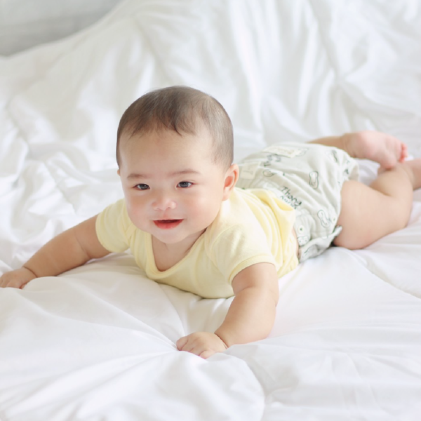 กางเกงในผ้าอ้อม Pants Diaper Peanut