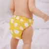 กางเกงผ้าอ้อม All-in-one (AIO) Diaper – SUNNY