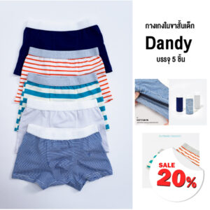 กางเกงในขาสั้นเด็ก 24ss/Dandy (5 Pcs.)