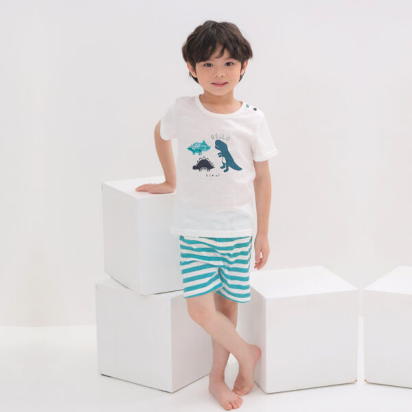ชุดเสื้อแขนสั้นและกางเกงขาสั้น 5 ส่วน 25ss  Slub Cotton Crong Land