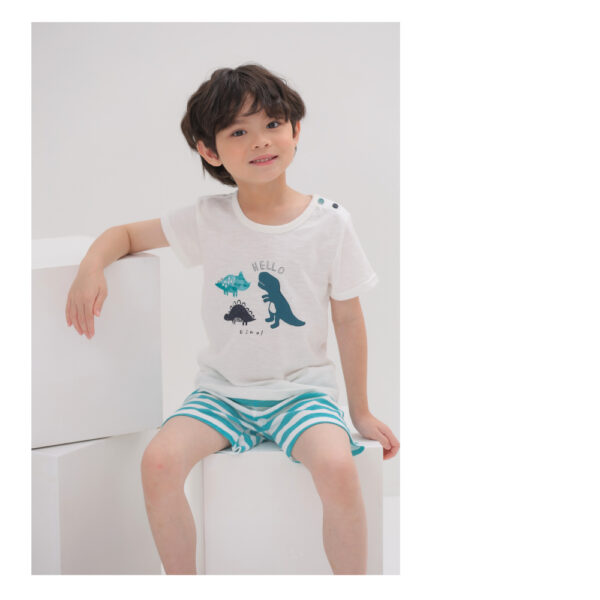 ชุดเสื้อแขนสั้นและกางเกงขาสั้น 5 ส่วน 25ss  Slub Cotton Crong Land