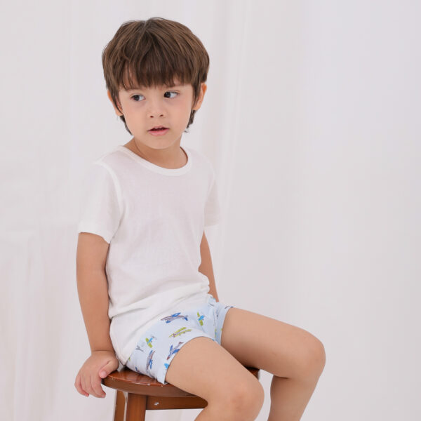 กางเกงในขาสั้นเด็ก 2025/Boys Drawers 60’s spandex drawing car (5 ชิ้น)