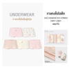 ญ3.2 กางเกงในขาสั้นเด็กผู้หญิง 2025/ Girls Drawers 60’s Spandex Sweet candy (5 ชิ้น)